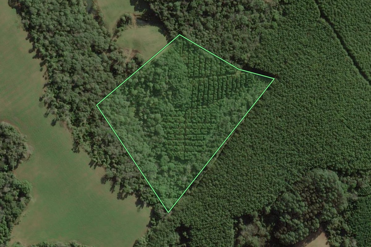 Imagem de satélite do imóvel rural em Mafra (SC), com o contorno declarado no CAR desenhado por cima.