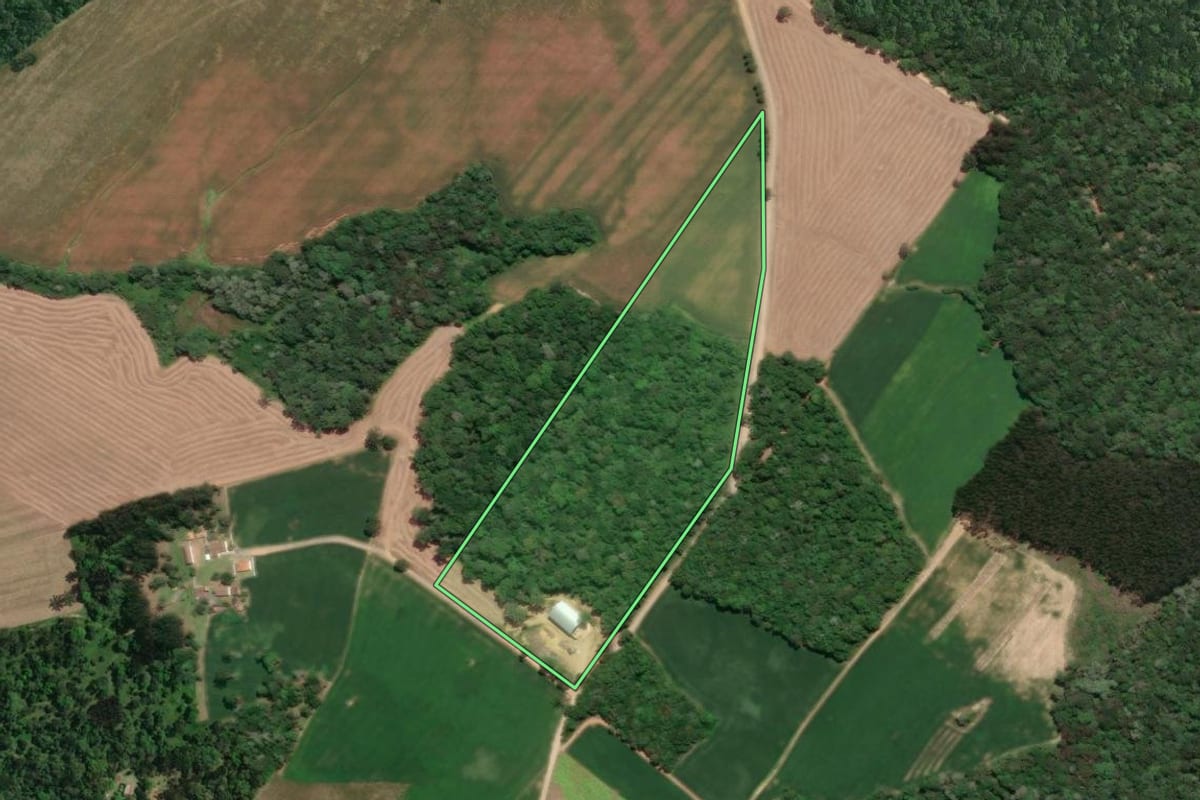 Imagem de satélite do imóvel rural em Mafra (SC), com o contorno declarado no CAR desenhado por cima.