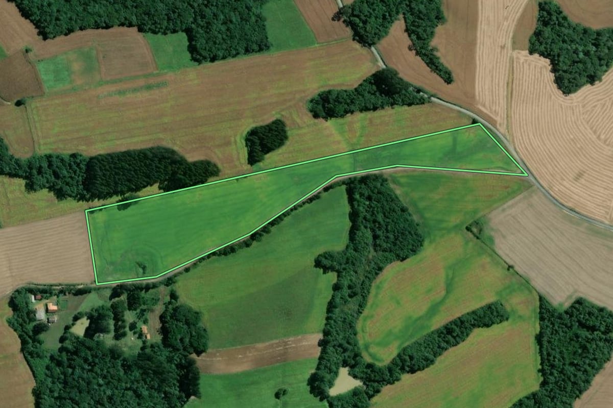 Imagem de satélite do imóvel rural em Mafra (SC), com o contorno declarado no CAR desenhado por cima.