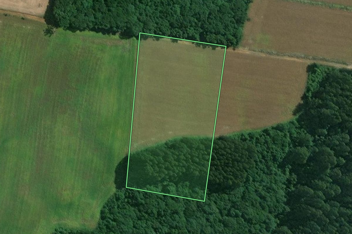 Imagem de satélite do imóvel rural em Mafra (SC), com o contorno declarado no CAR desenhado por cima.