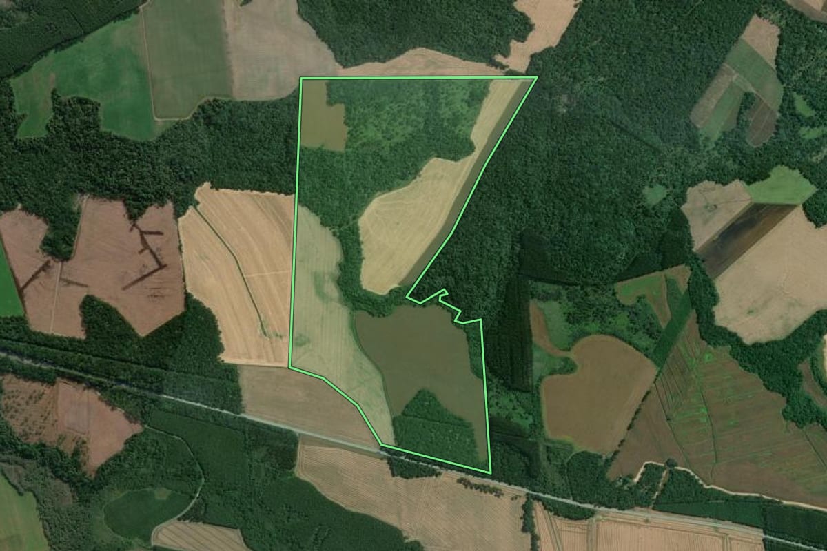 Imagem de satélite do imóvel rural em Mafra (SC), com o contorno declarado no CAR desenhado por cima.