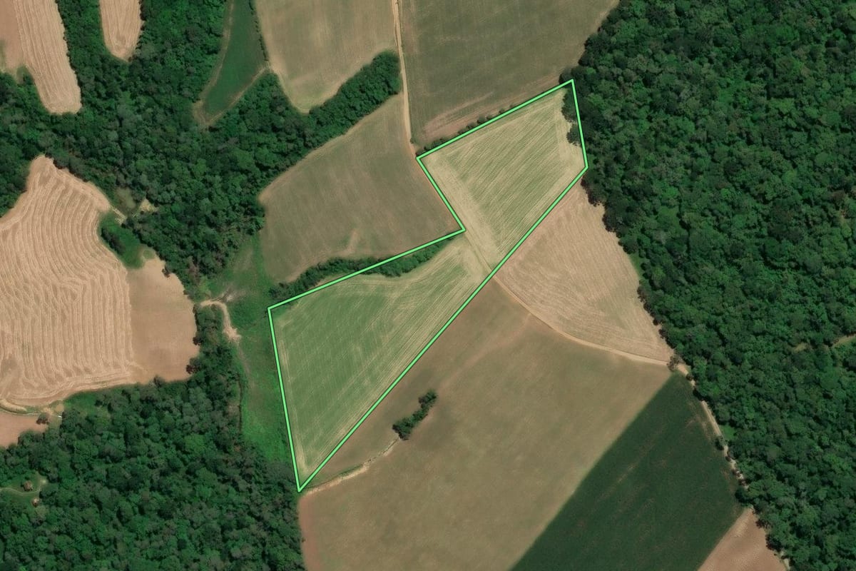 Imagem de satélite do imóvel rural em Mafra (SC), com o contorno declarado no CAR desenhado por cima.