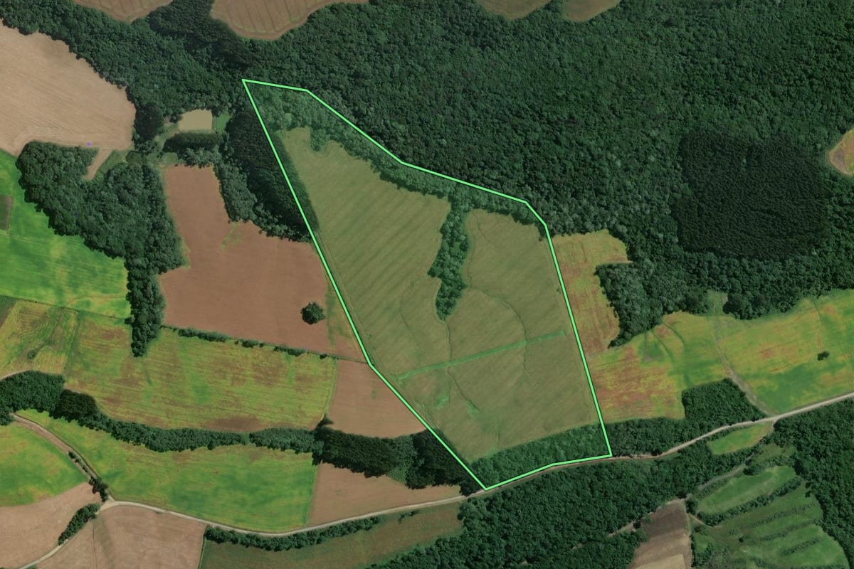 Imagem de satélite do imóvel rural em Mafra (SC), com o contorno declarado no CAR desenhado por cima.