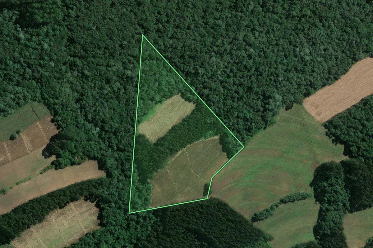 Imagem de satélite do imóvel rural em Mafra (SC), com o contorno declarado no CAR desenhado por cima.