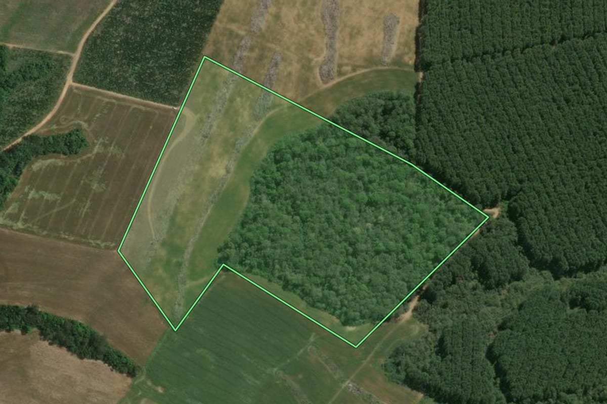 Imagem de satélite do imóvel rural em Mafra (SC), com o contorno declarado no CAR desenhado por cima.