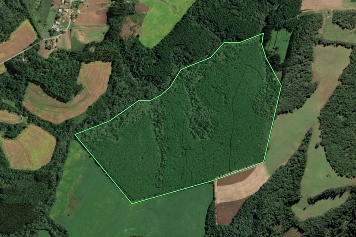 Imagem de satélite do imóvel rural em Mafra (SC), com o contorno declarado no CAR desenhado por cima.