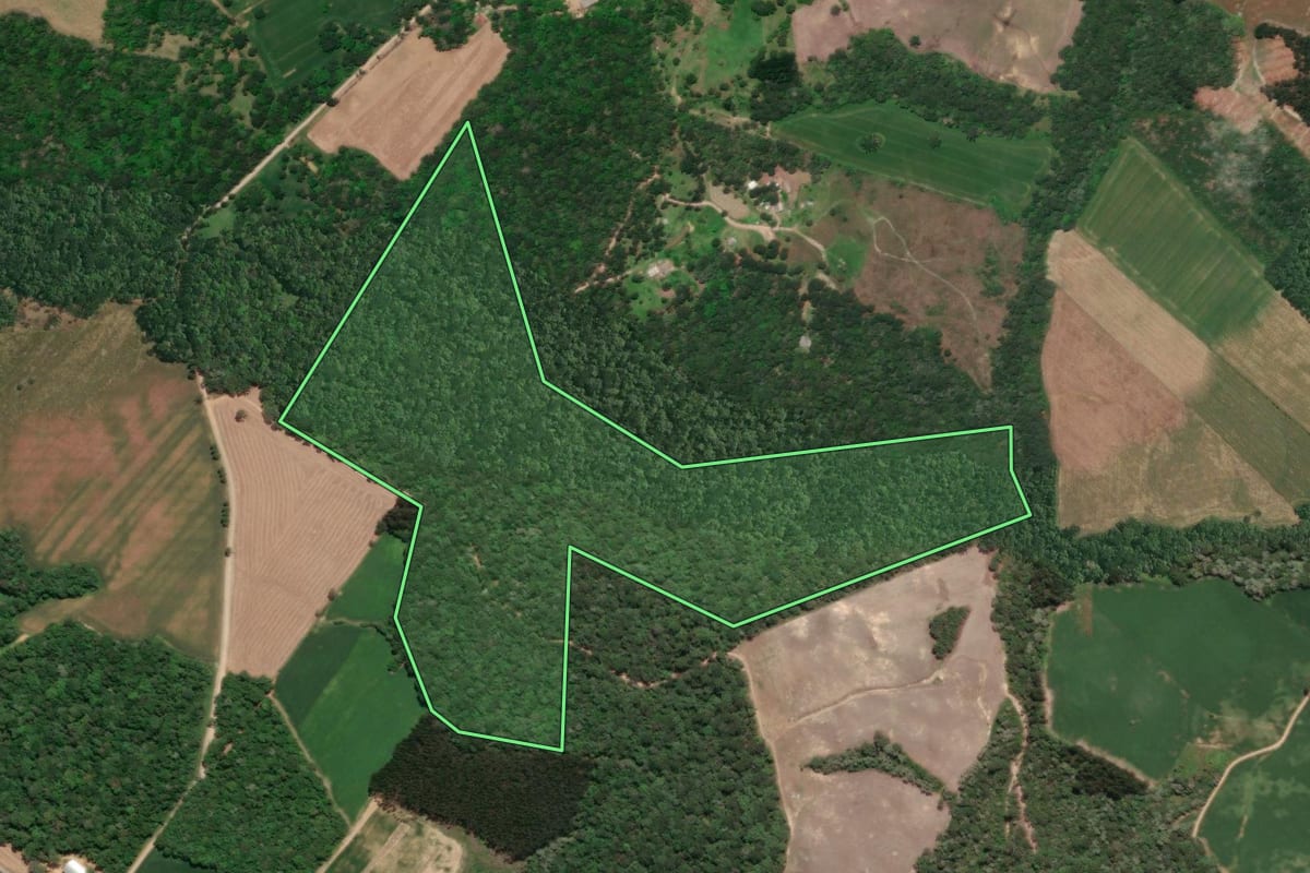 Imagem de satélite do imóvel rural em Mafra (SC), com o contorno declarado no CAR desenhado por cima.