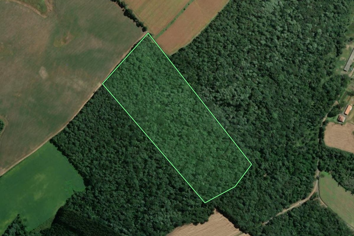 Imagem de satélite do imóvel rural em Mafra (SC), com o contorno declarado no CAR desenhado por cima.