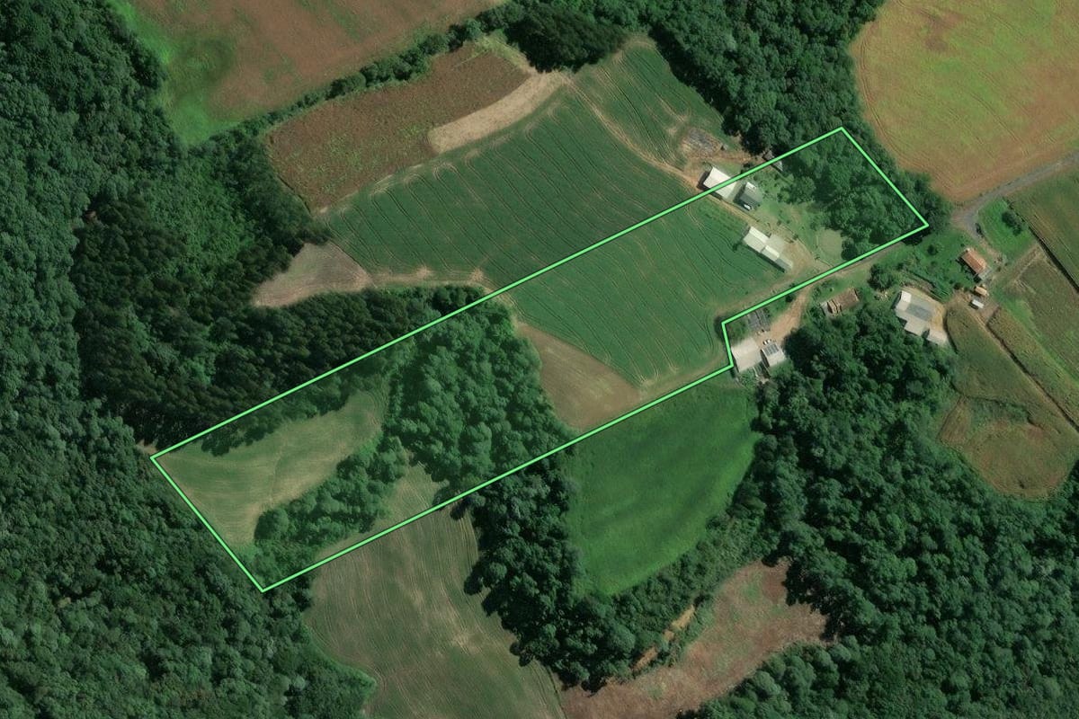Imagem de satélite do imóvel rural em Mafra (SC), com o contorno declarado no CAR desenhado por cima.