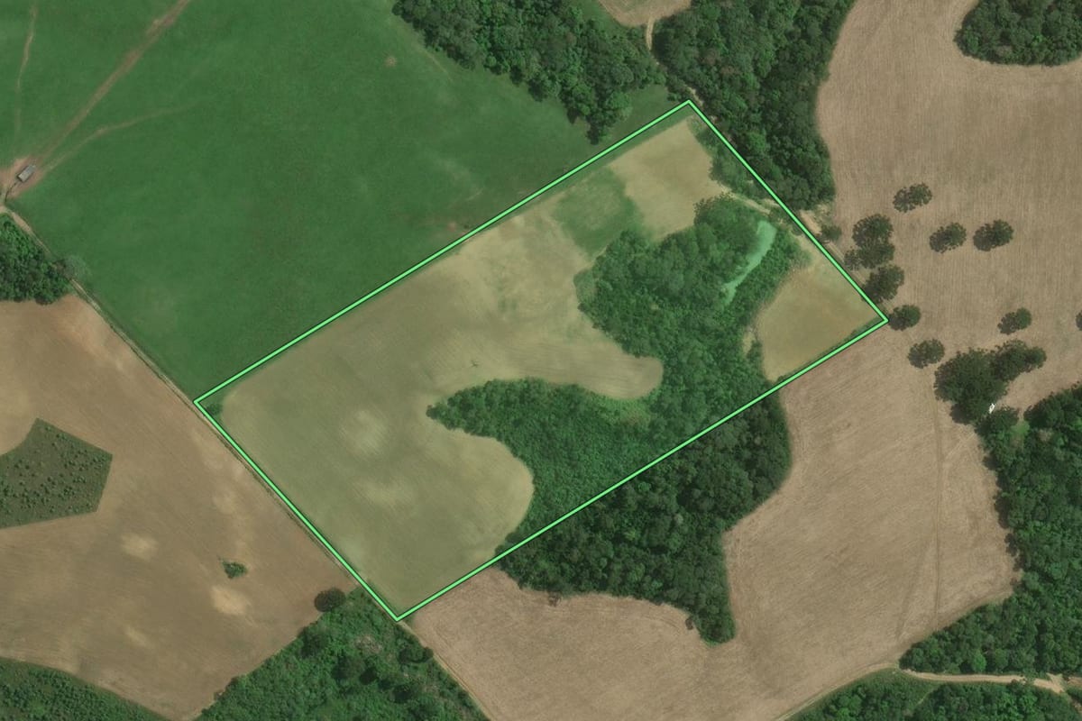 Imagem de satélite do imóvel rural em Mafra (SC), com o contorno declarado no CAR desenhado por cima.
