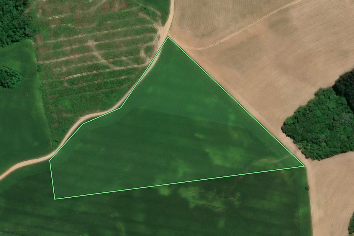 Imagem de satélite do imóvel rural em Mafra (SC), com o contorno declarado no CAR desenhado por cima.