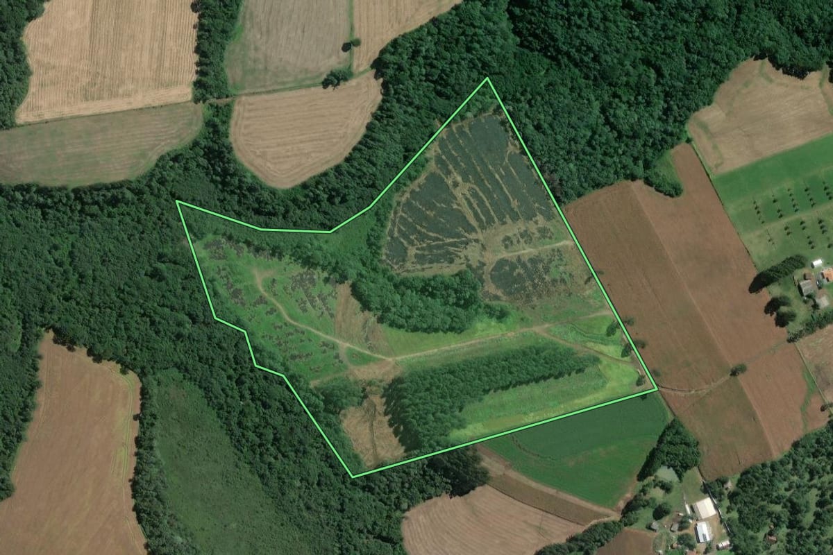 Imagem de satélite do imóvel rural em Mafra (SC), com o contorno declarado no CAR desenhado por cima.