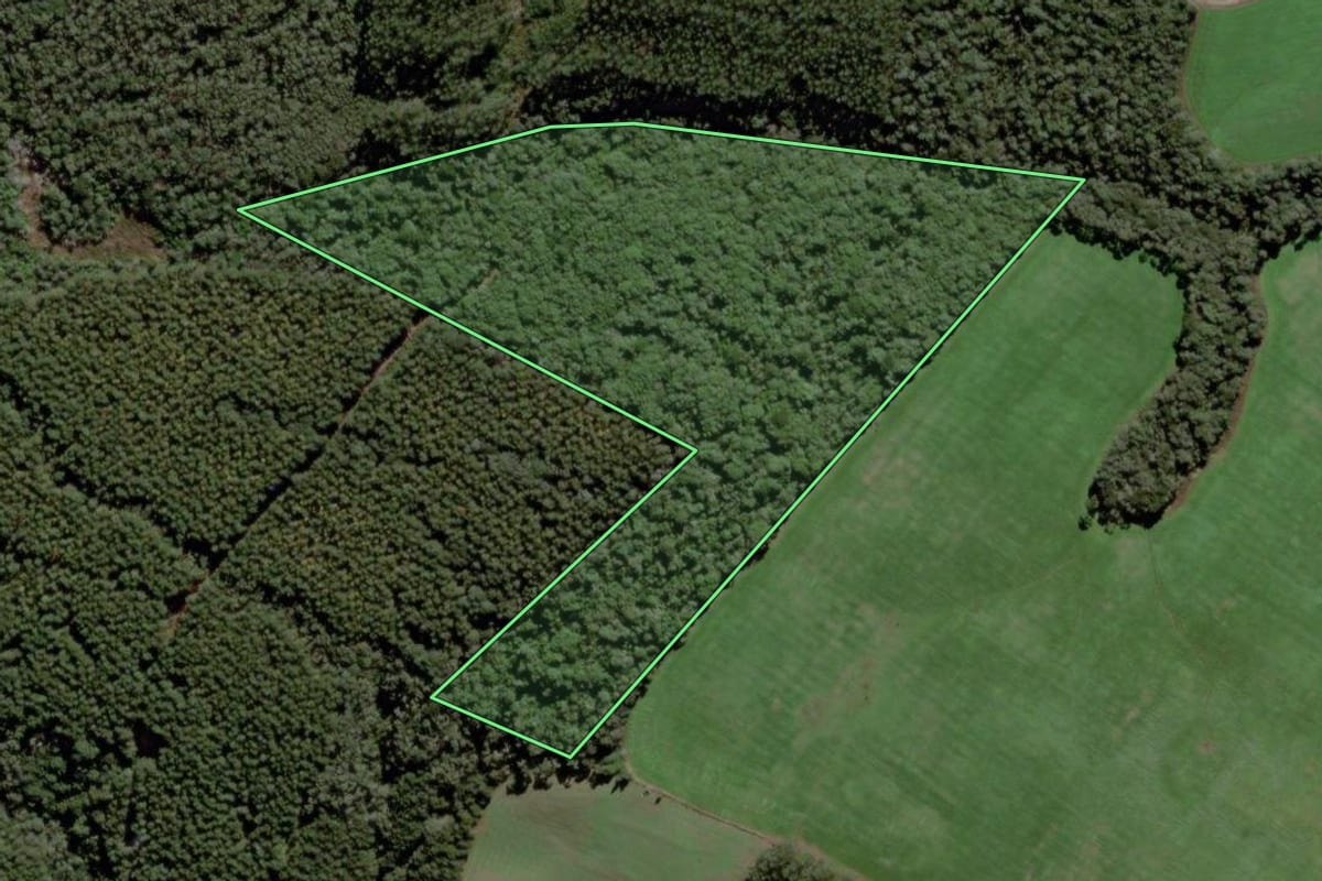 Imagem de satélite do imóvel rural em Mafra (SC), com o contorno declarado no CAR desenhado por cima.