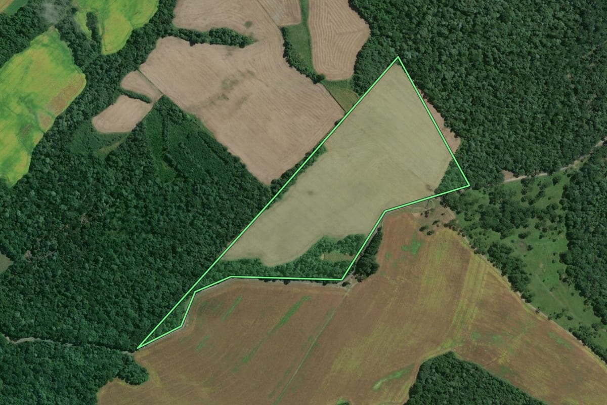 Imagem de satélite do imóvel rural em Mafra (SC), com o contorno declarado no CAR desenhado por cima.