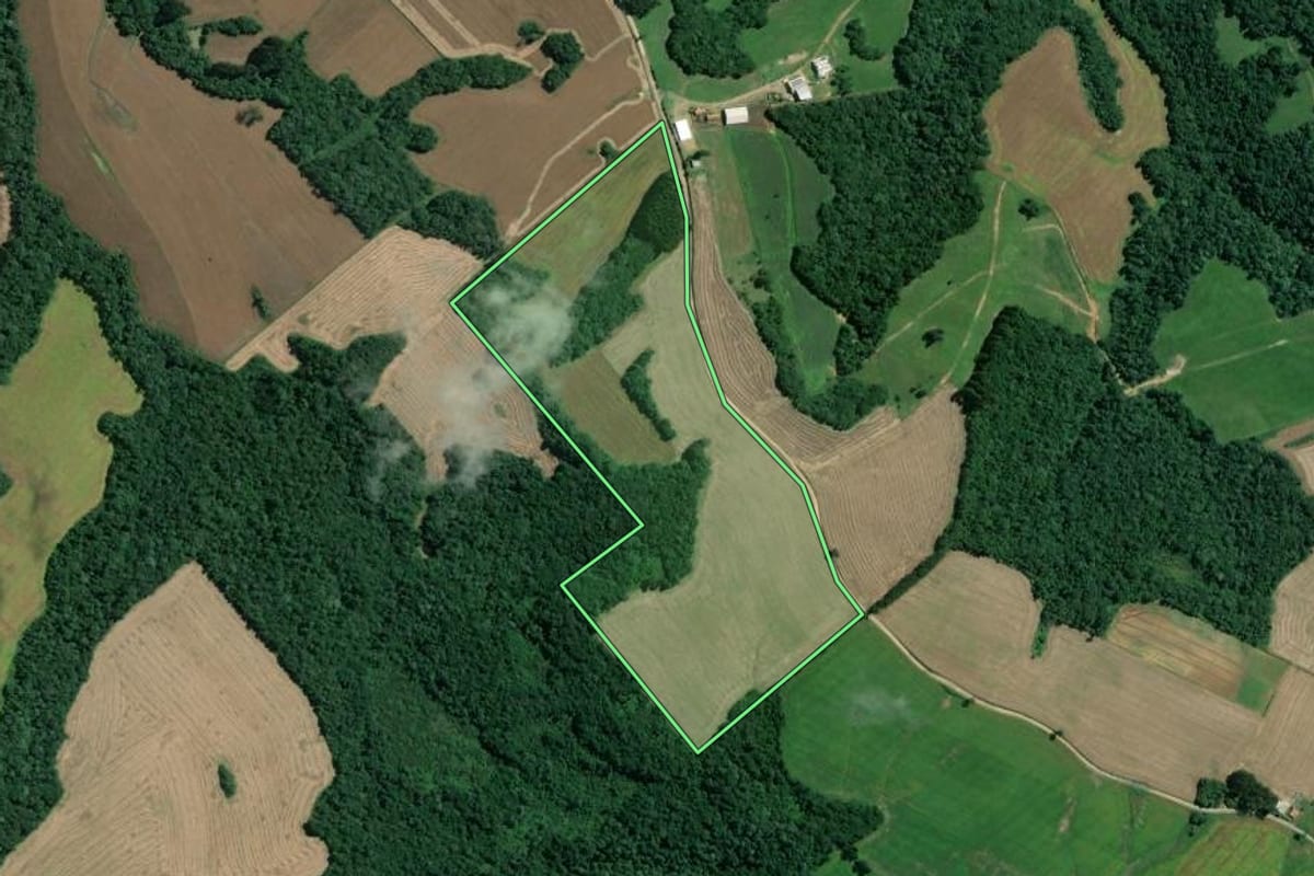 Imagem de satélite do imóvel rural em Mafra (SC), com o contorno declarado no CAR desenhado por cima.