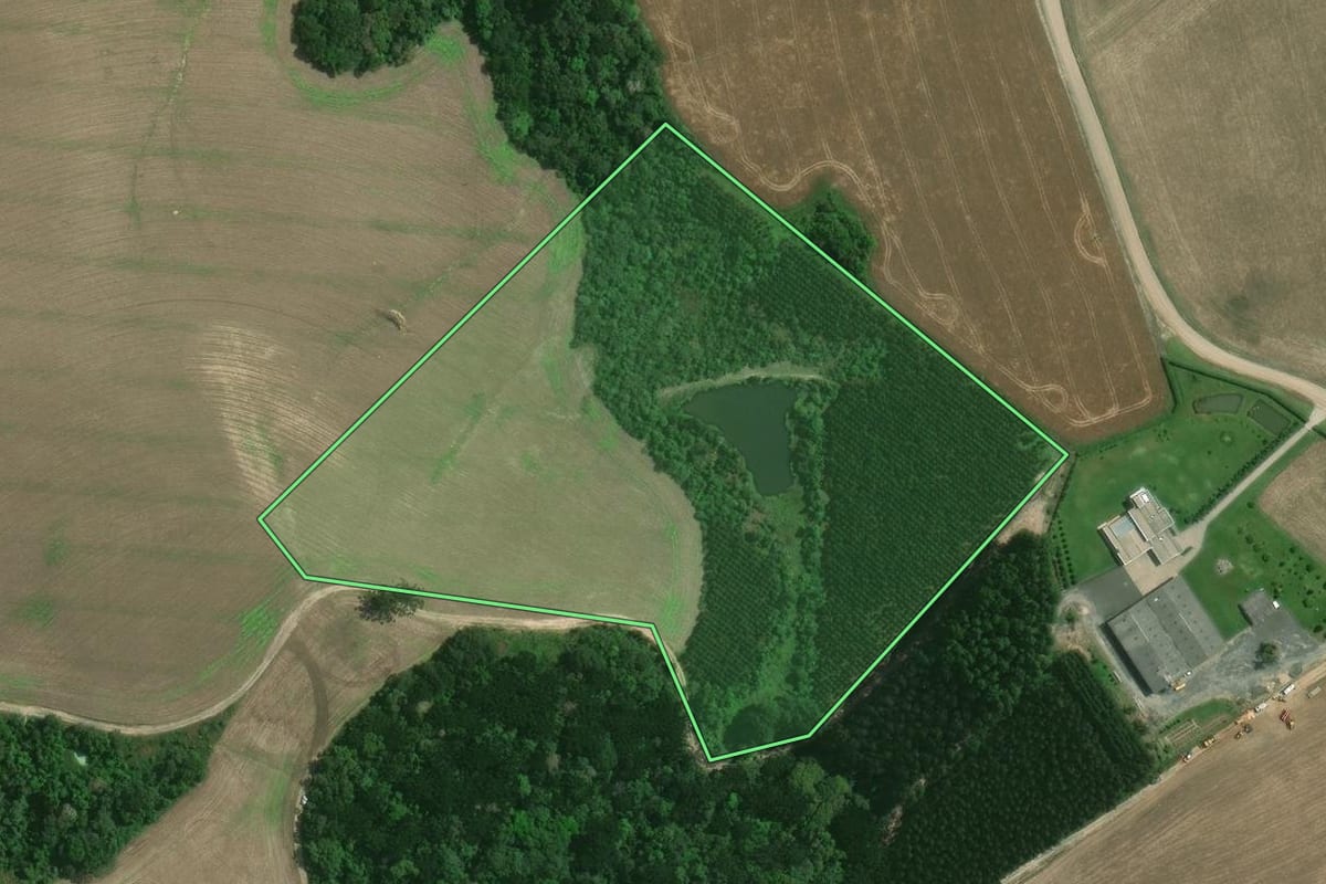 Imagem de satélite do imóvel rural em Mafra (SC), com o contorno declarado no CAR desenhado por cima.