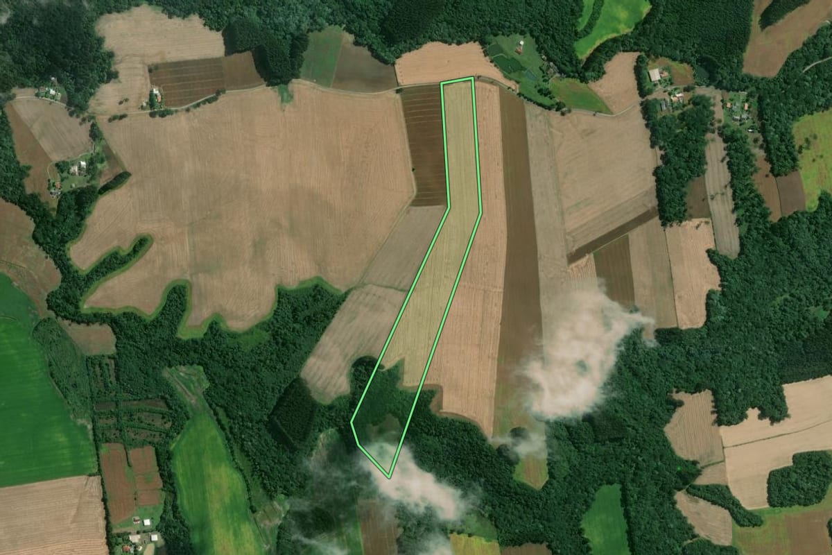 Imagem de satélite do imóvel rural em Mafra (SC), com o contorno declarado no CAR desenhado por cima.