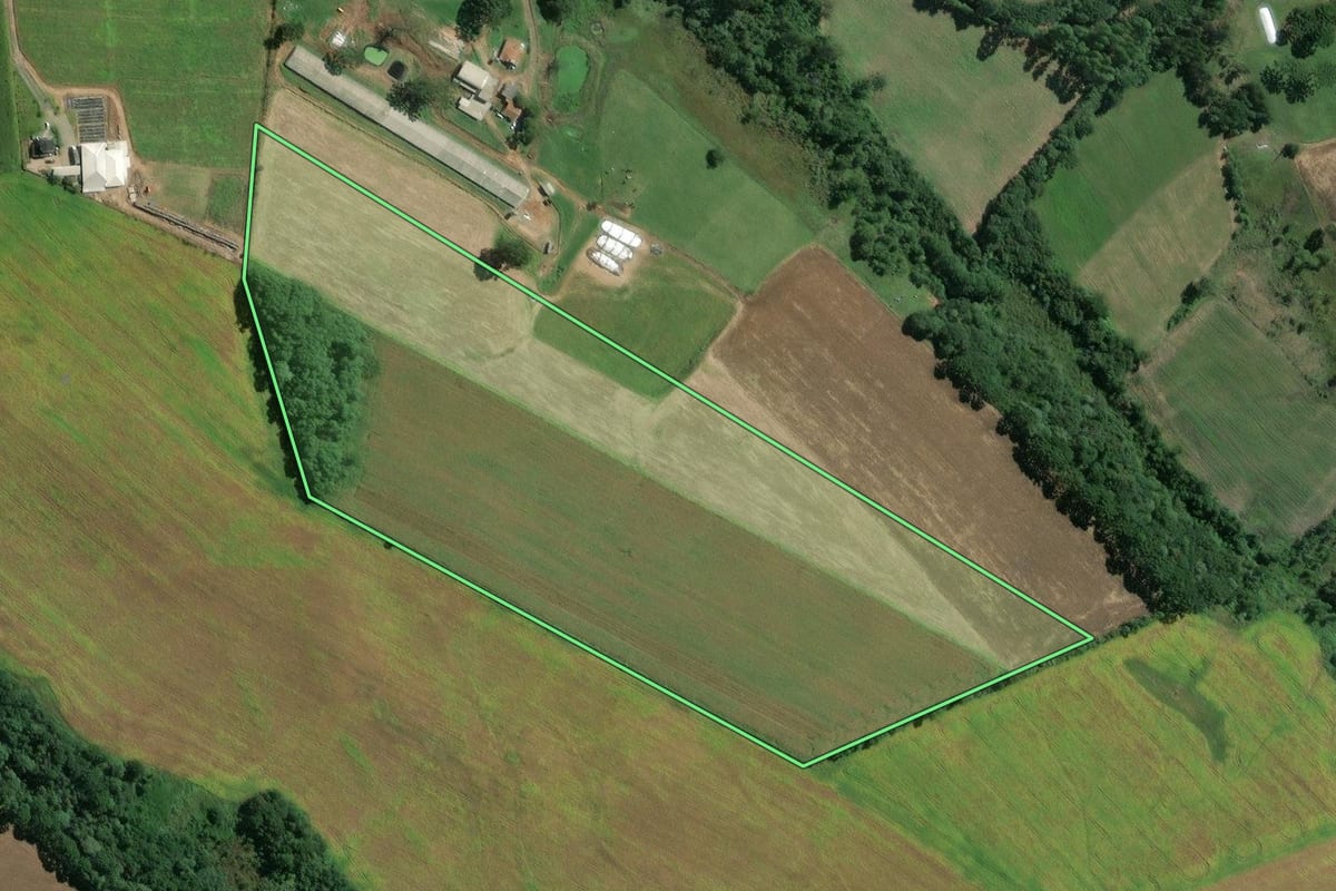 Imagem de satélite do imóvel rural em Mafra (SC), com o contorno declarado no CAR desenhado por cima.