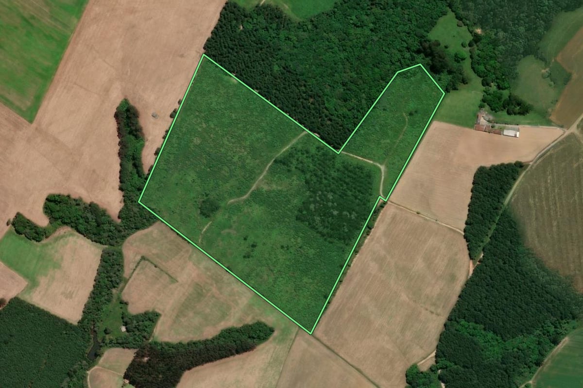 Imagem de satélite do imóvel rural em Mafra (SC), com o contorno declarado no CAR desenhado por cima.