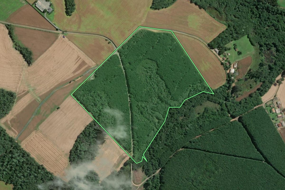 Imagem de satélite do imóvel rural em Mafra (SC), com o contorno declarado no CAR desenhado por cima.