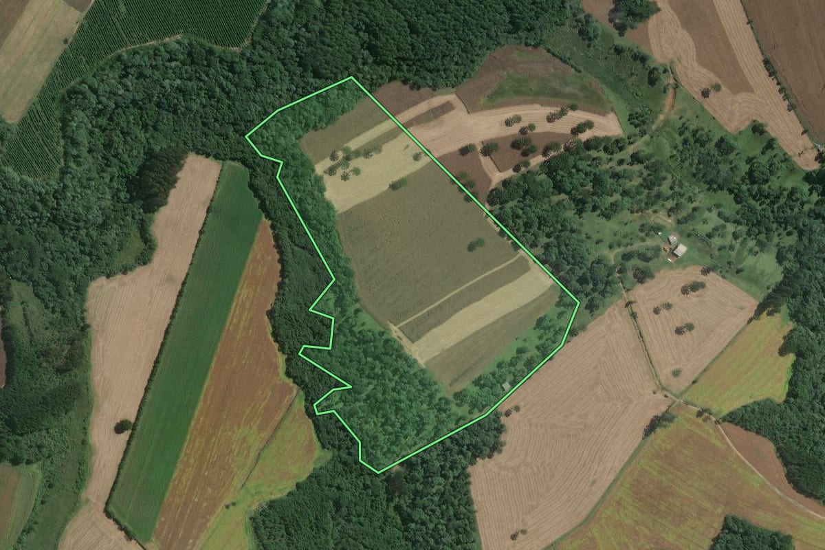 Imagem de satélite do imóvel rural em Mafra (SC), com o contorno declarado no CAR desenhado por cima.