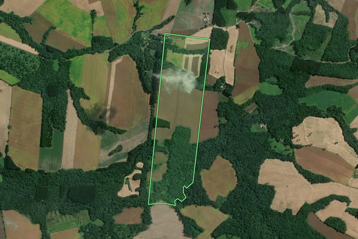 Imagem de satélite do imóvel rural em Mafra (SC), com o contorno declarado no CAR desenhado por cima.