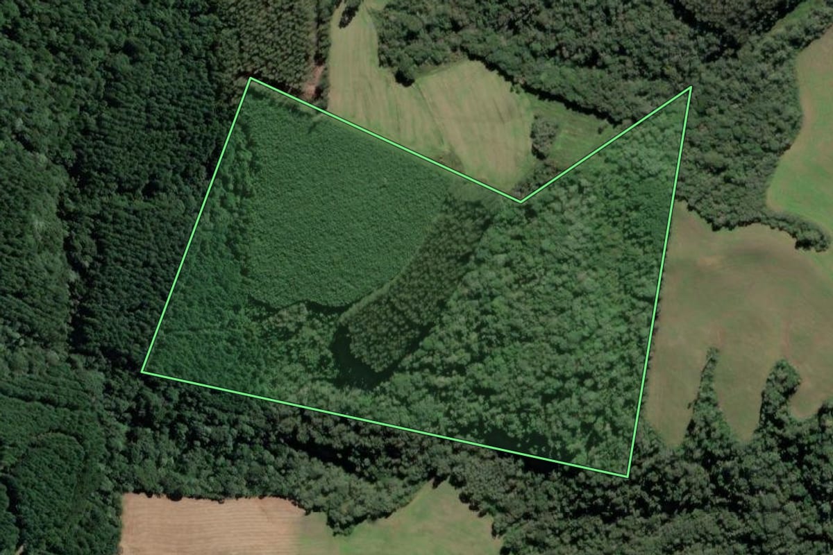 Imagem de satélite do imóvel rural em Mafra (SC), com o contorno declarado no CAR desenhado por cima.