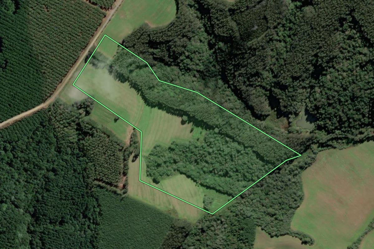 Imagem de satélite do imóvel rural em Mafra (SC), com o contorno declarado no CAR desenhado por cima.