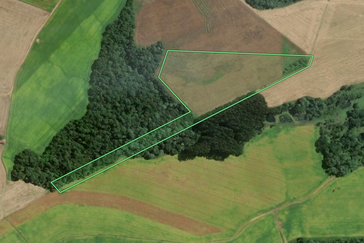 Imagem de satélite do imóvel rural em Mafra (SC), com o contorno declarado no CAR desenhado por cima.