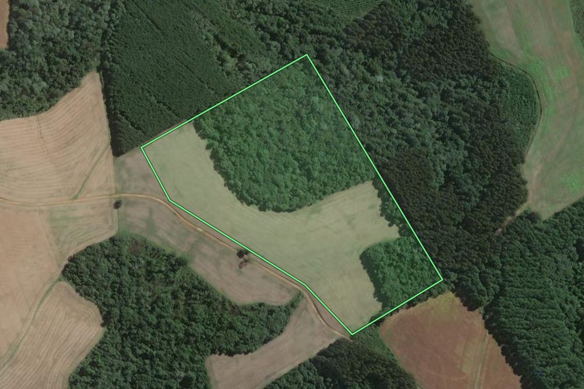 Imagem de satélite do imóvel rural em Mafra (SC), com o contorno declarado no CAR desenhado por cima.