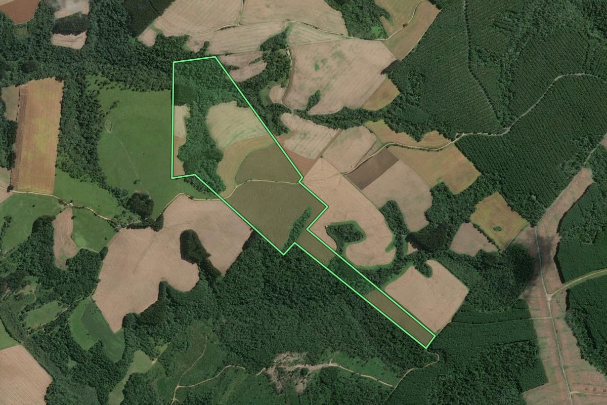 Imagem de satélite do imóvel rural em Mafra (SC), com o contorno declarado no CAR desenhado por cima.