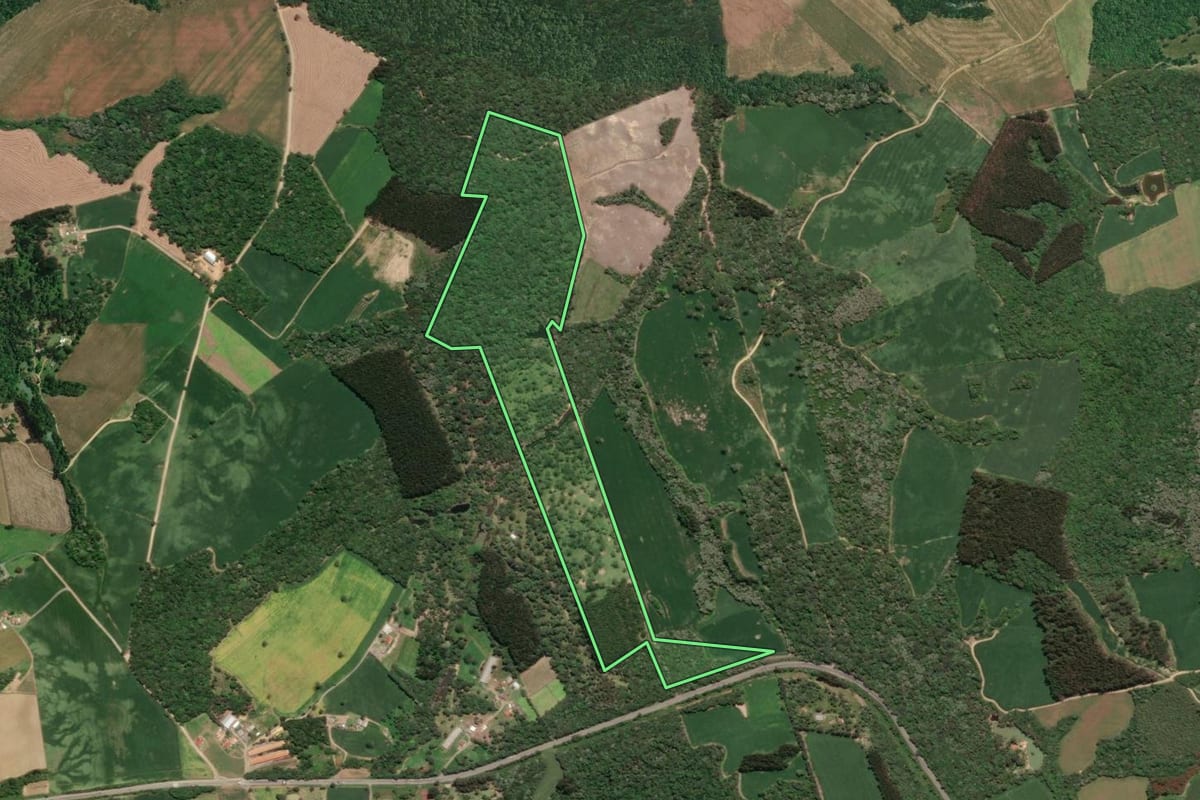 Imagem de satélite do imóvel rural em Mafra (SC), com o contorno declarado no CAR desenhado por cima.