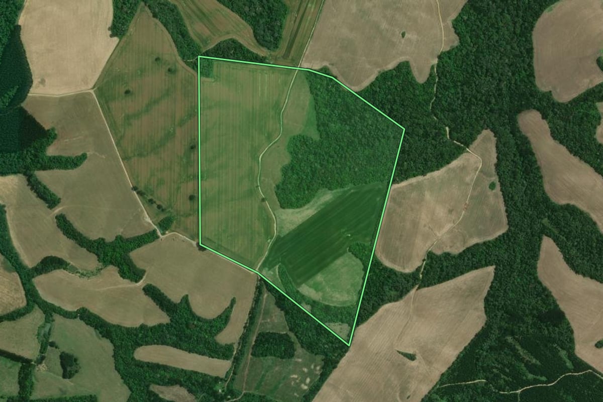Imagem de satélite do imóvel rural em Mafra (SC), com o contorno declarado no CAR desenhado por cima.