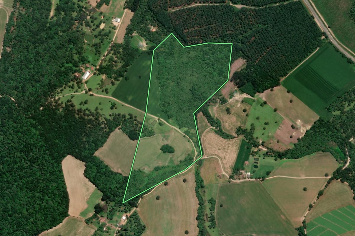 Imagem de satélite do imóvel rural em Mafra (SC), com o contorno declarado no CAR desenhado por cima.