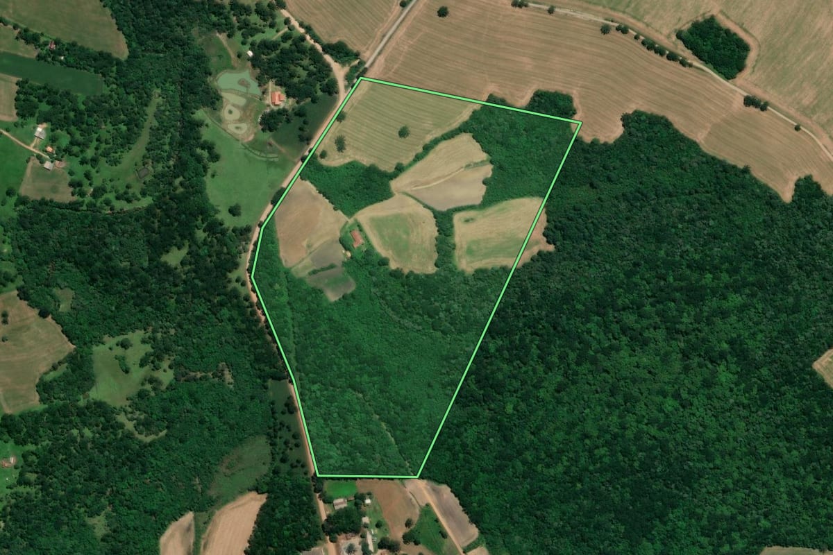 Imagem de satélite do imóvel rural em Mafra (SC), com o contorno declarado no CAR desenhado por cima.