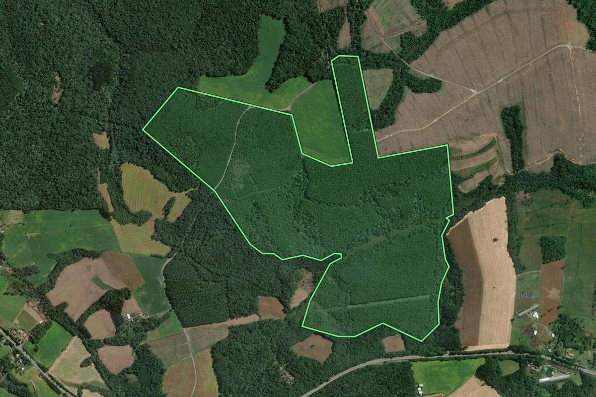 Imagem de satélite do imóvel rural em Mafra (SC), com o contorno declarado no CAR desenhado por cima.