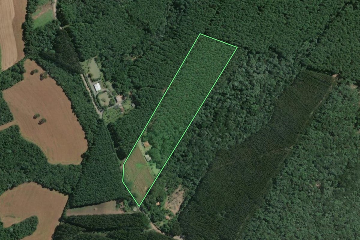 Imagem de satélite do imóvel rural em Mafra (SC), com o contorno declarado no CAR desenhado por cima.