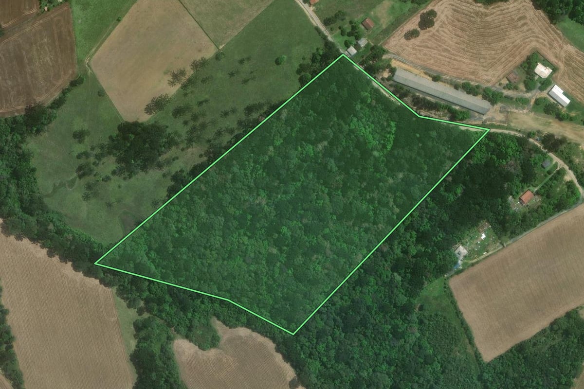 Imagem de satélite do imóvel rural em Mafra (SC), com o contorno declarado no CAR desenhado por cima.