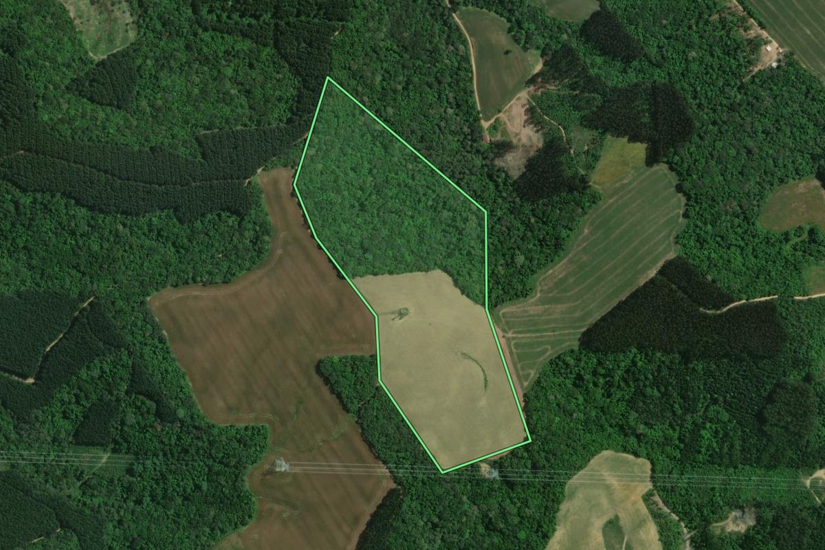 Imagem de satélite do imóvel rural em Mafra (SC), com o contorno declarado no CAR desenhado por cima.