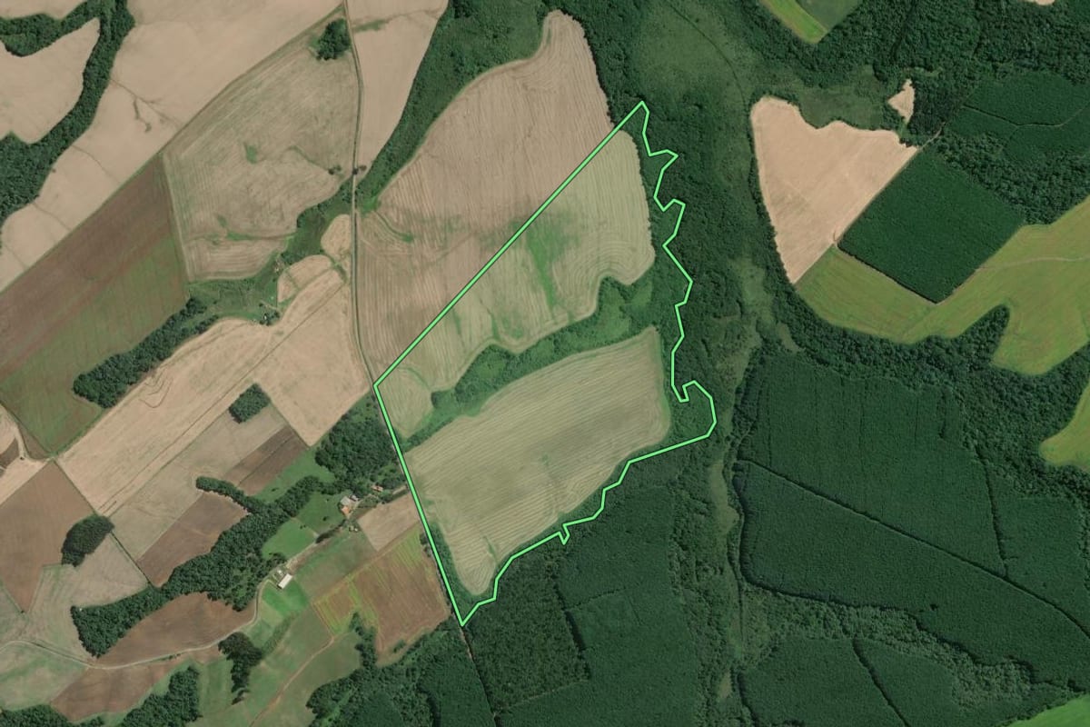 Imagem de satélite do imóvel rural em Mafra (SC), com o contorno declarado no CAR desenhado por cima.