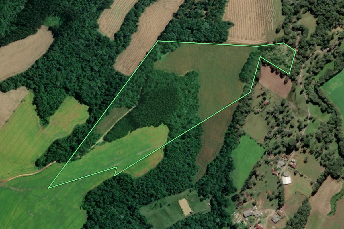 Imagem de satélite do imóvel rural em Mafra (SC), com o contorno declarado no CAR desenhado por cima.