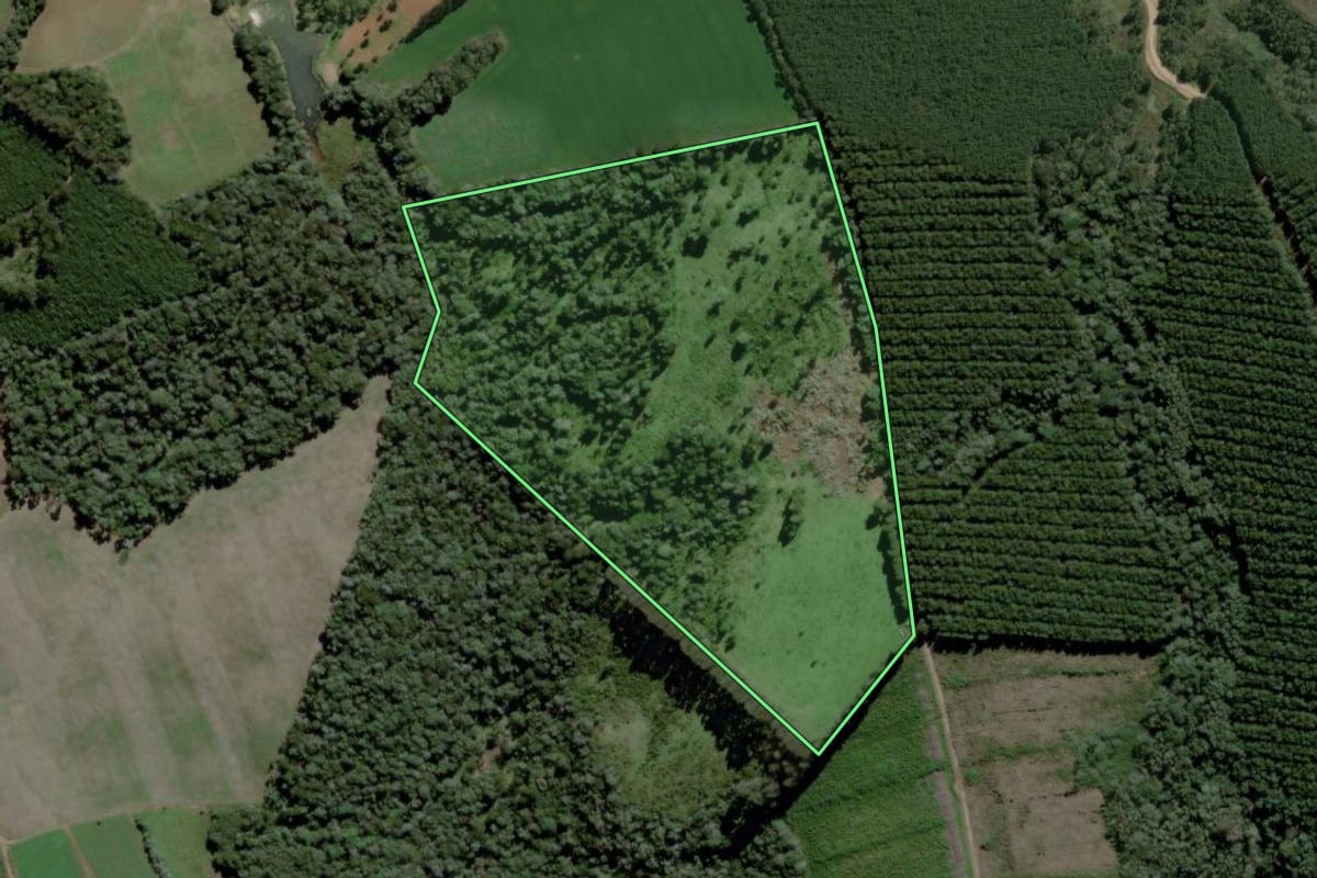 Imagem de satélite do imóvel rural em Mafra (SC), com o contorno declarado no CAR desenhado por cima.