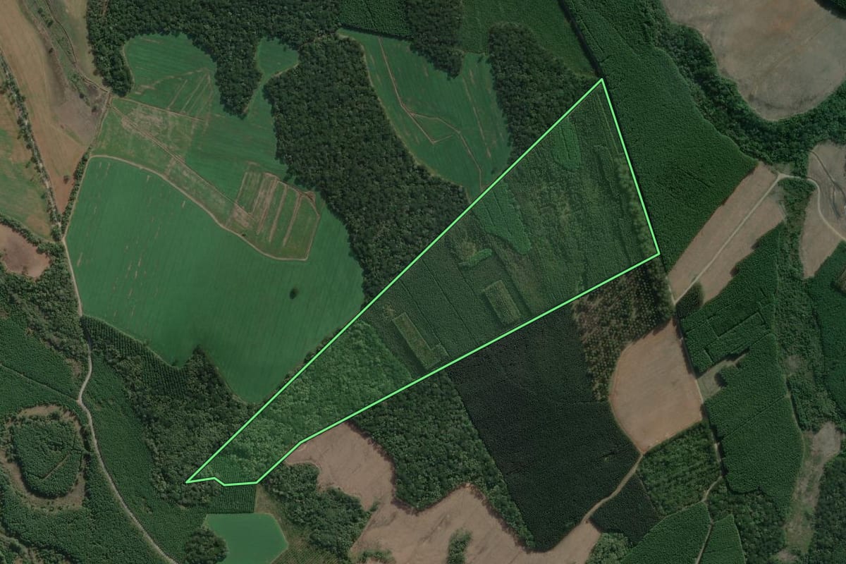 Imagem de satélite do imóvel rural em Mafra (SC), com o contorno declarado no CAR desenhado por cima.