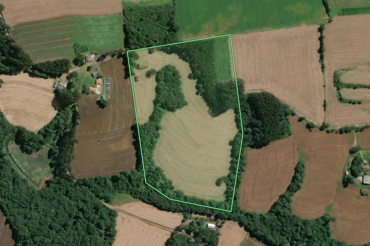 Imagem de satélite do imóvel rural em Mafra (SC), com o contorno declarado no CAR desenhado por cima.
