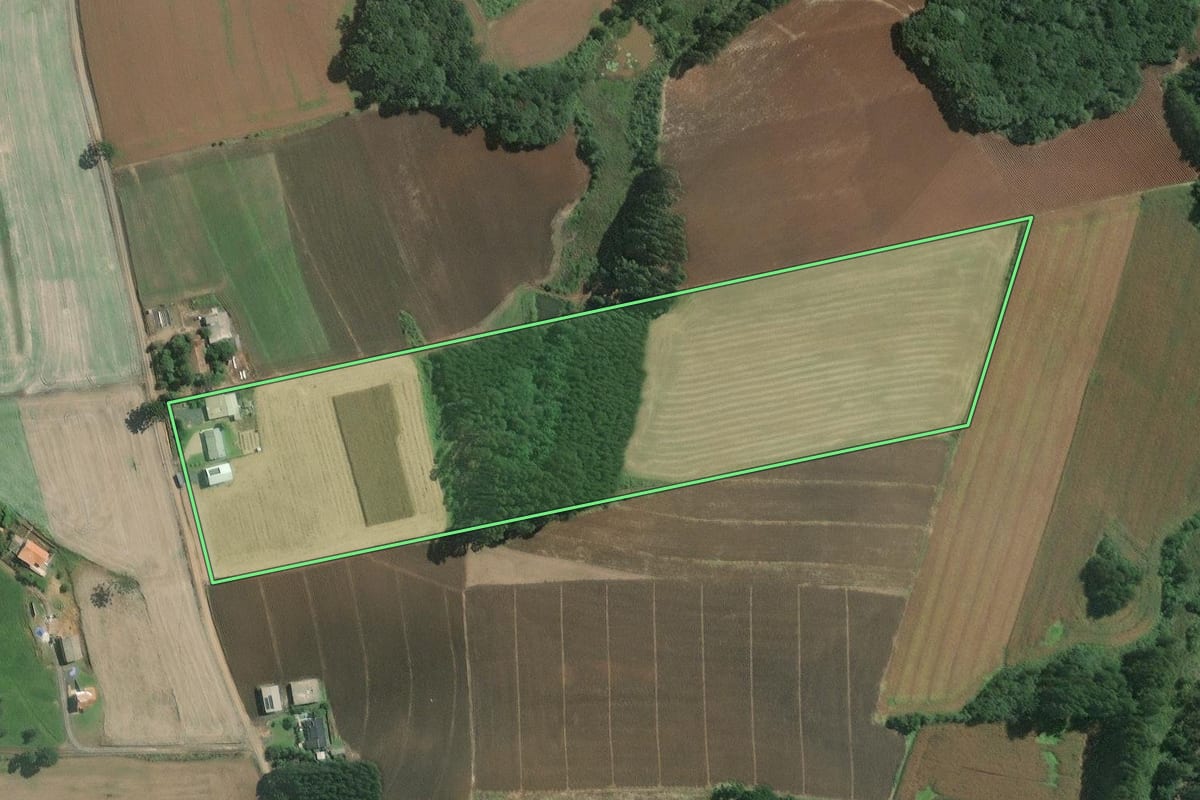 Imagem de satélite do imóvel rural em Mafra (SC), com o contorno declarado no CAR desenhado por cima.