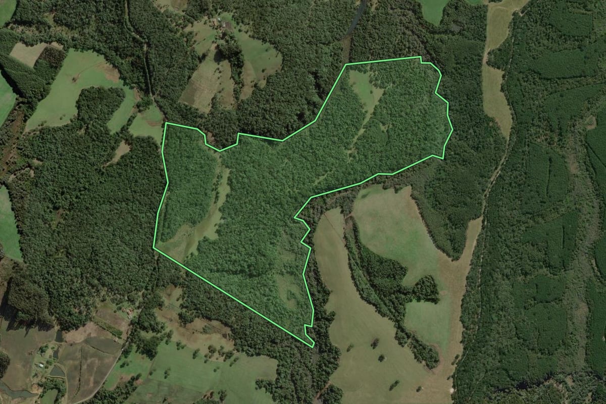 Imagem de satélite do imóvel rural em Mafra (SC), com o contorno declarado no CAR desenhado por cima.
