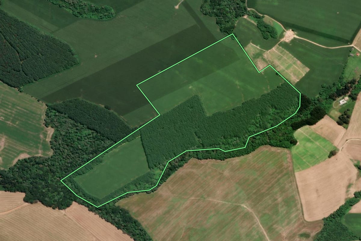Imagem de satélite do imóvel rural em Mafra (SC), com o contorno declarado no CAR desenhado por cima.