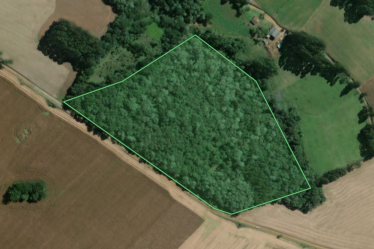 Imagem de satélite do imóvel rural em Mafra (SC), com o contorno declarado no CAR desenhado por cima.