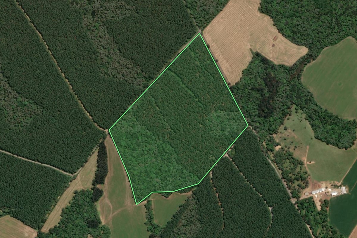 Imagem de satélite do imóvel rural em Mafra (SC), com o contorno declarado no CAR desenhado por cima.