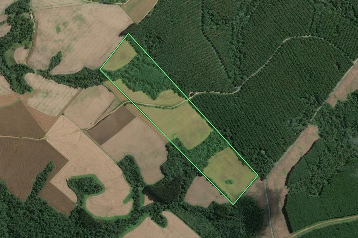 Imagem de satélite do imóvel rural em Mafra (SC), com o contorno declarado no CAR desenhado por cima.